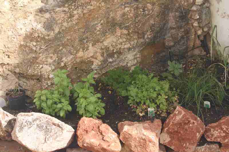 Kraeutergarten Ferienwohnung 2 Casa Cubo Algarve